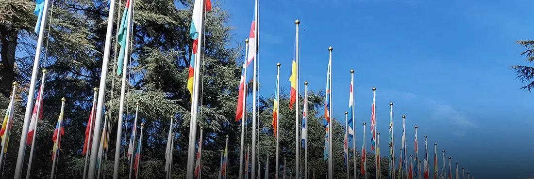 Market Expansion and International Exchange